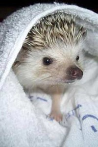 №71, Юлия Письменная, 36 лет, Николаевка №71, Юлия Письменная, 36 лет, Николаевка