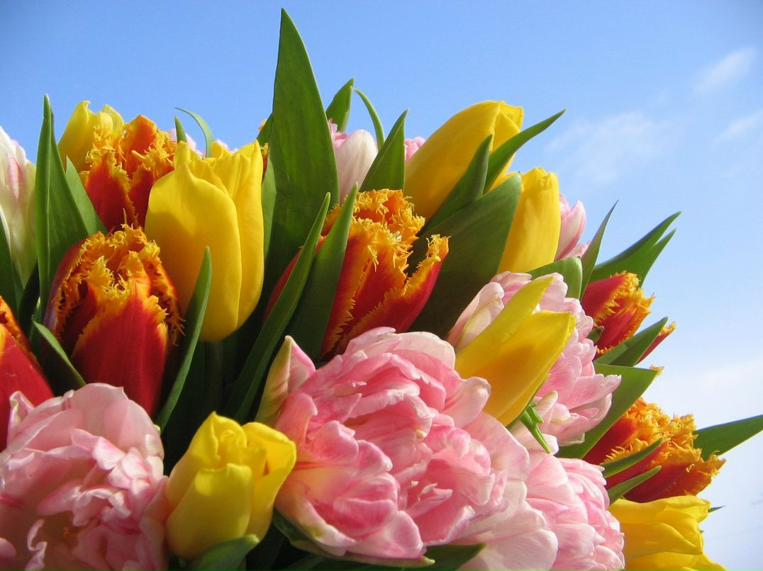 Наталья Жакун (Данилова) | Ровно