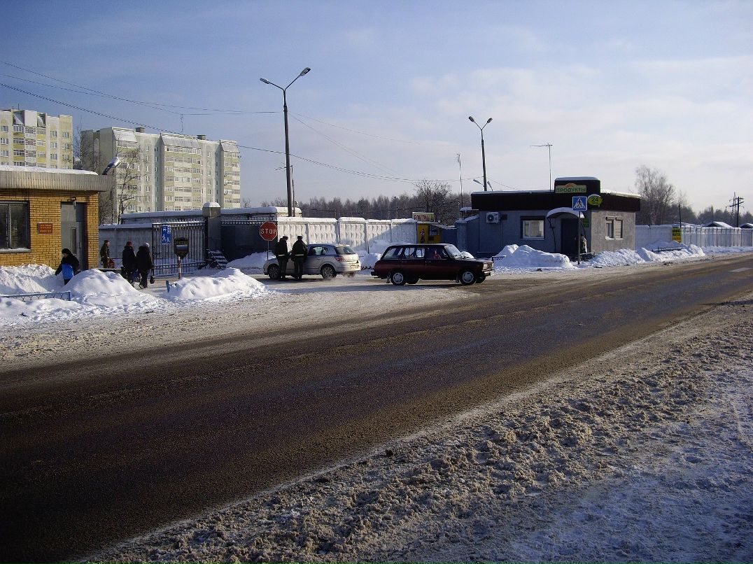 Димок Пахомов | Воронеж