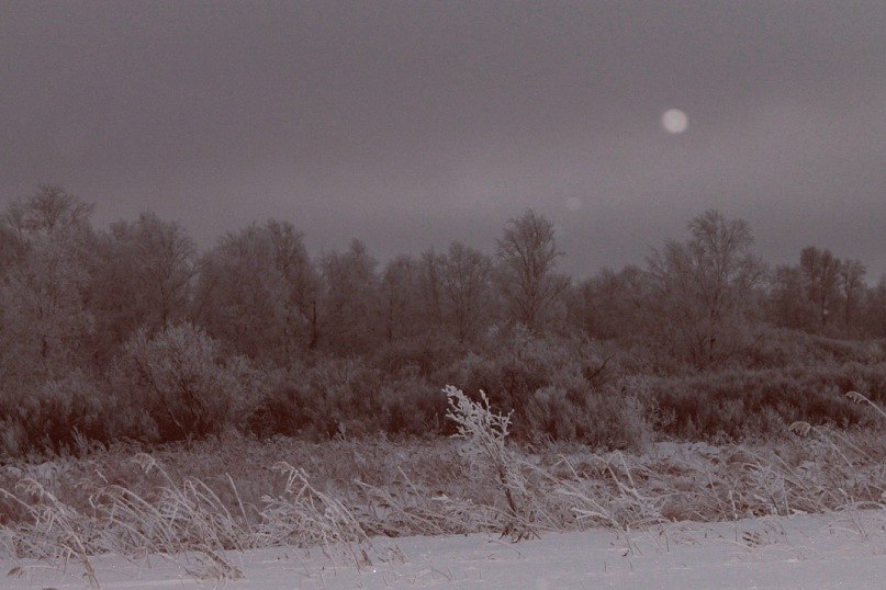 Елена Шуклина | Северск