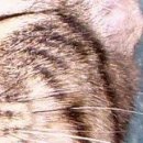 №130, Мария Косенко, Кривой Рог №130, Мария Косенко, Кривой Рог