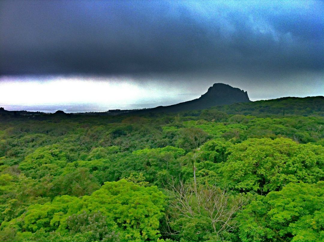 Алексей Тригубов | Москва