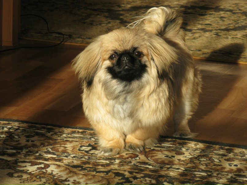 Юля Довганюк | Хмельницкий