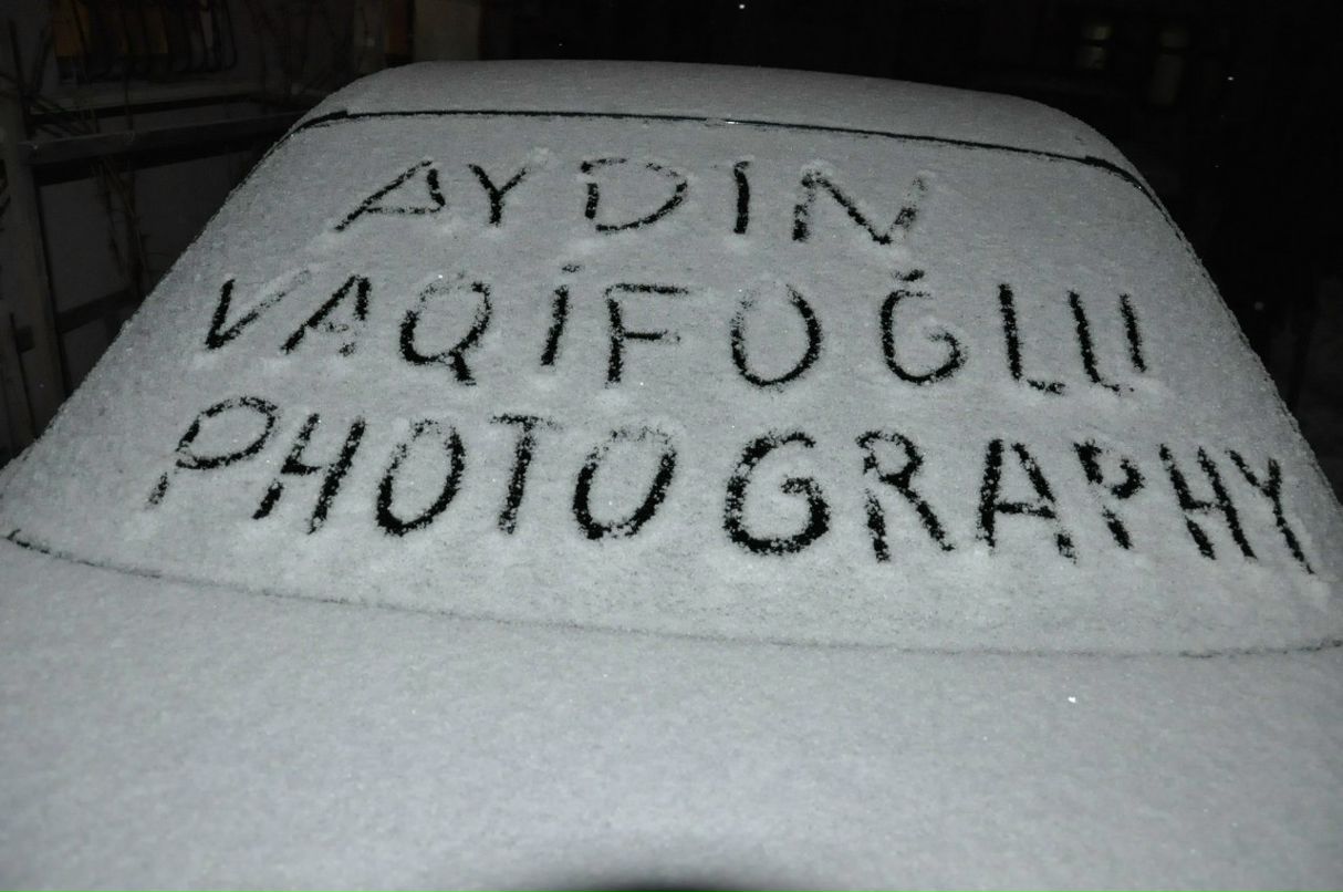 Айдын Вагифоглы | Великий Новгород