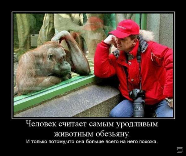 Сергей Зарембо | Полоцк