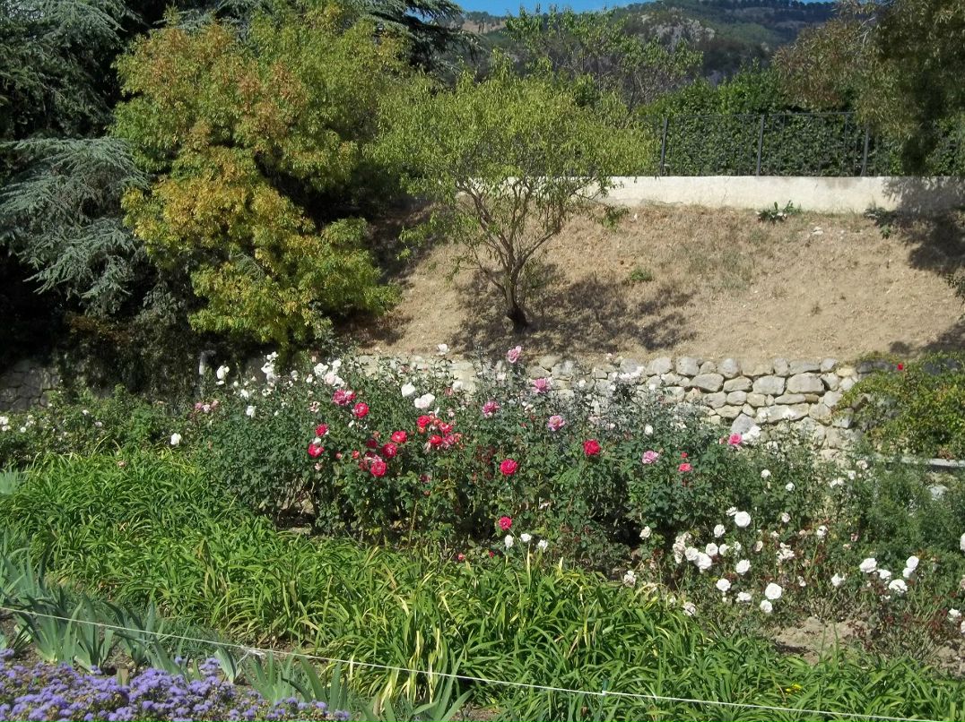 Алексей Зинюк | Бердянск