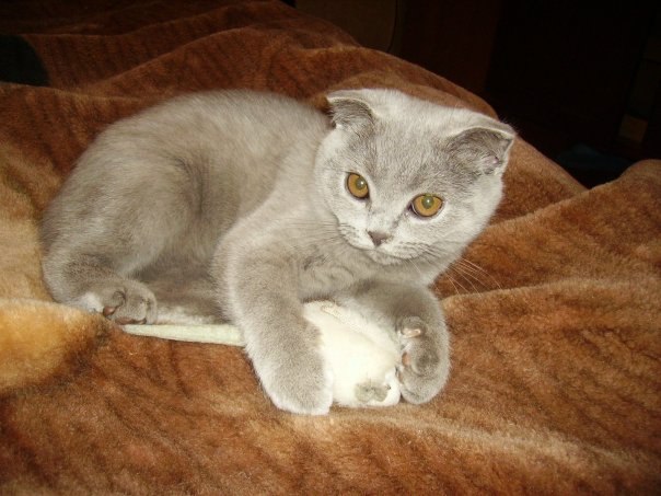 Алиночка Алина ✿ܓ✿ܓ✿ܓ | 