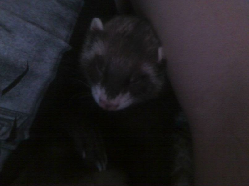 Настя Гавриленко | Саратов