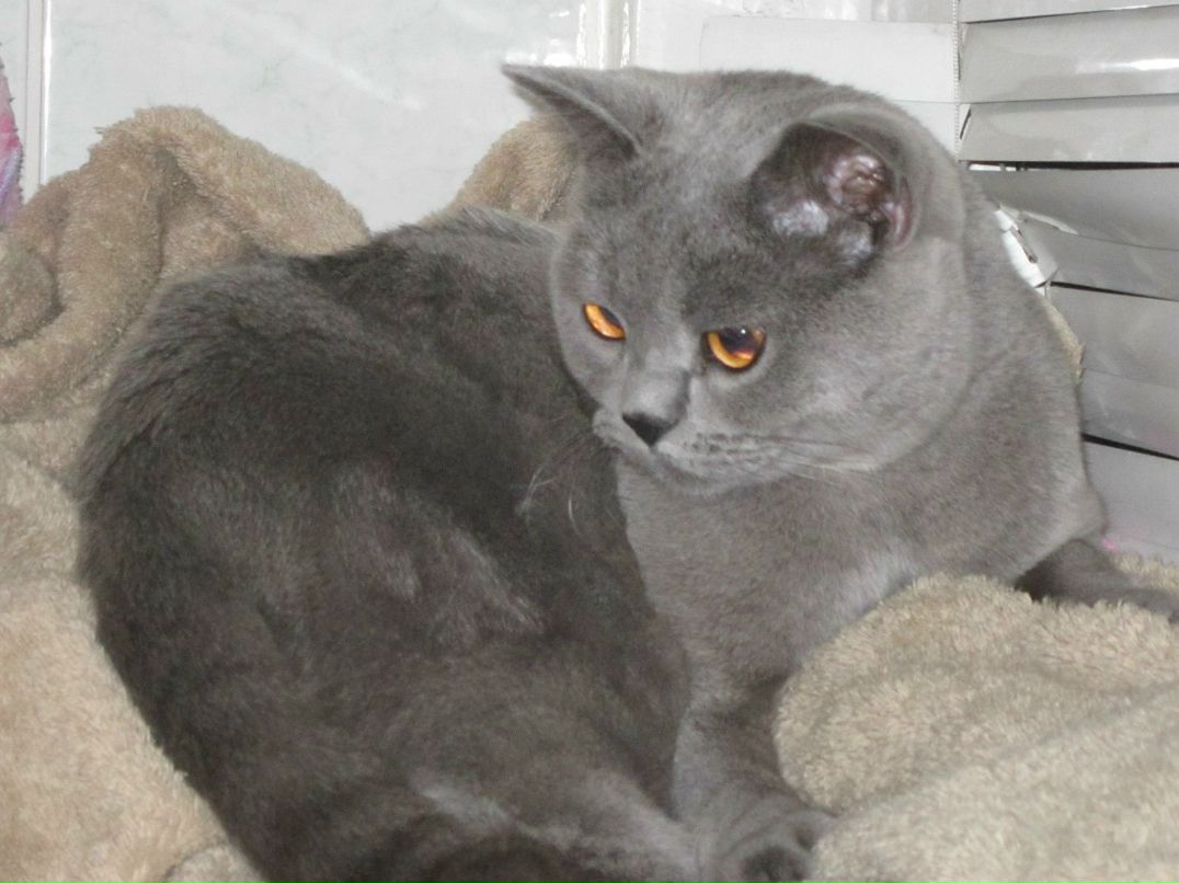 Ирина Цымбал | 