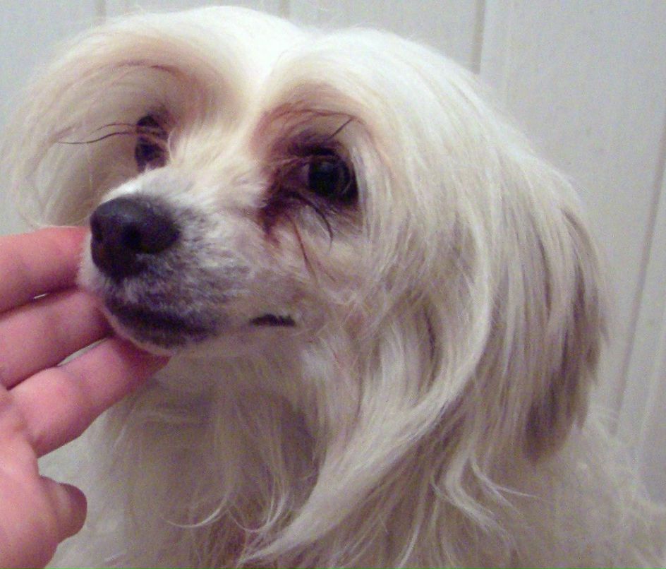 Екатерина Лесова | Санкт-Петербург