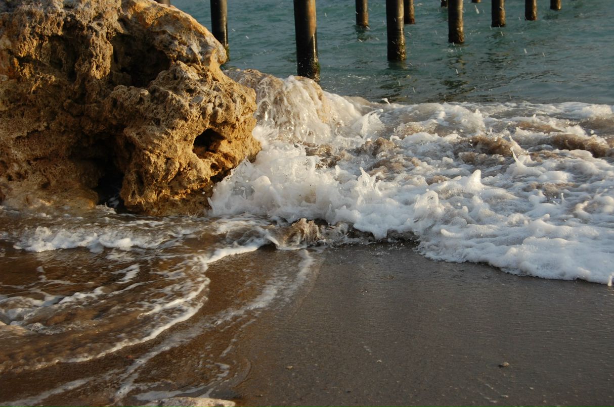 Дарья Рожкова | Москва