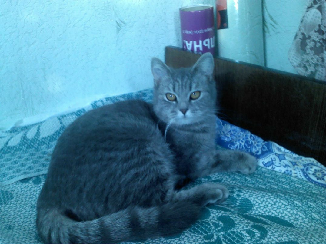 Денис Дёмин | Самара