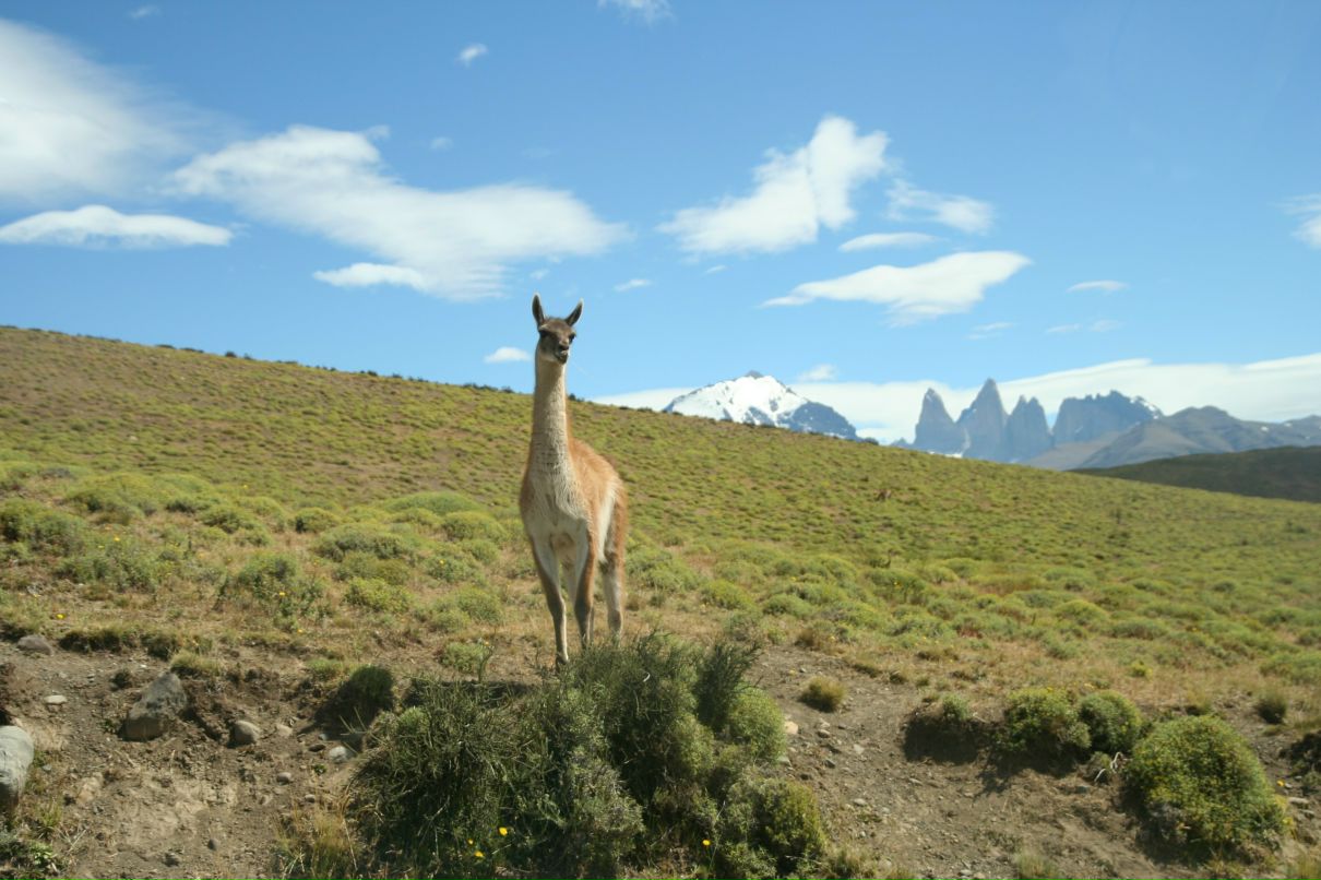 Артем Ростовцев | Москва