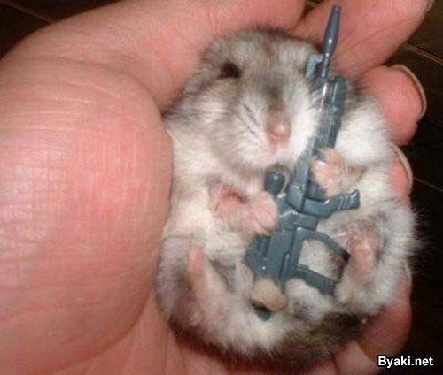 Яна Янович | 