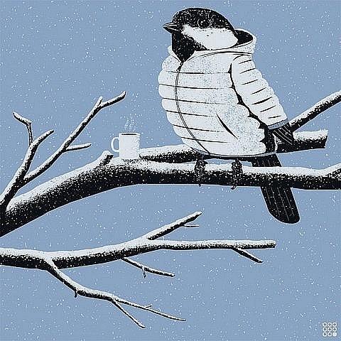 №17, Алёнка Баста №17, Алёнка Баста