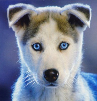 №2, Влад Макаров №2, Влад Макаров