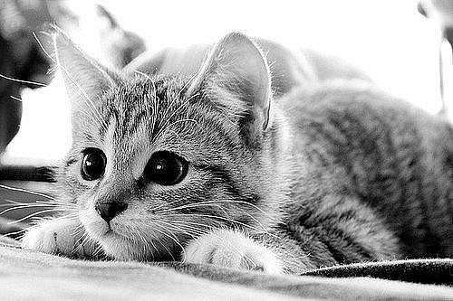 Юлия Грищенко | Сумы