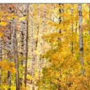 №73, Олег Водинов, Череповец №73, Олег Водинов, Череповец