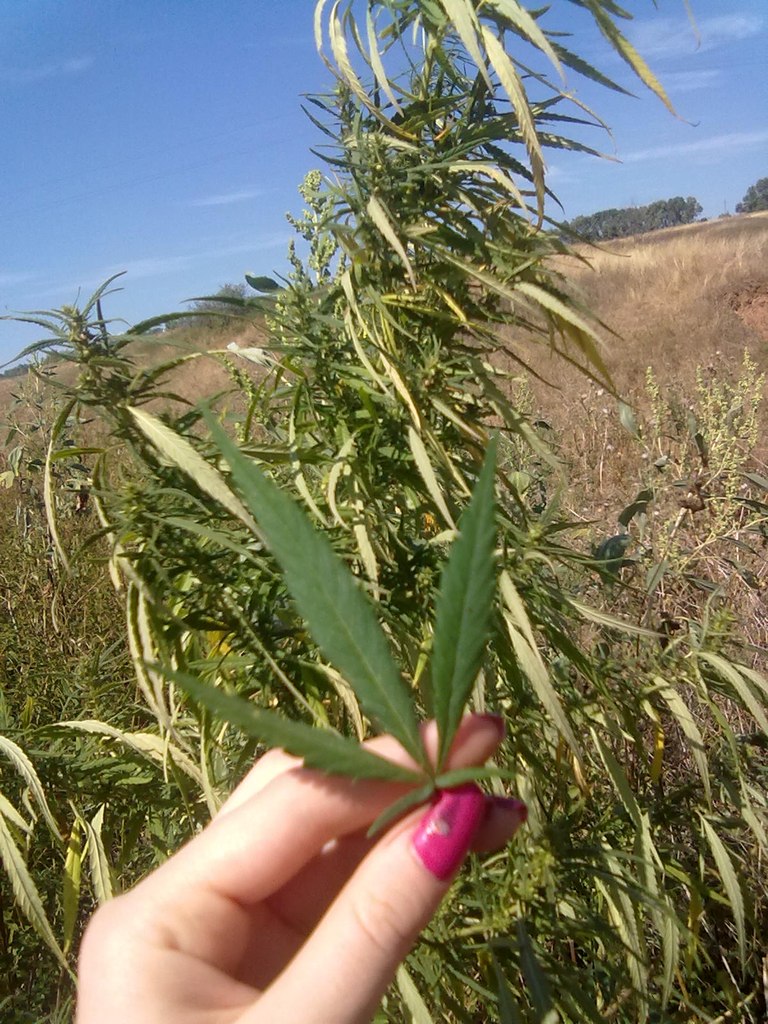 Оксана Катукова-Логвиненко | Тверь