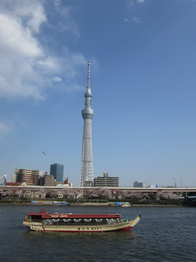 Анастасия Джафарова | Москва