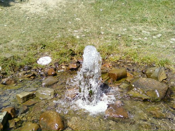 №118, Ольга Шевців, 29.08.1901, Скородинцы №118, Ольга Шевців, 29.08.1901, Скородинцы