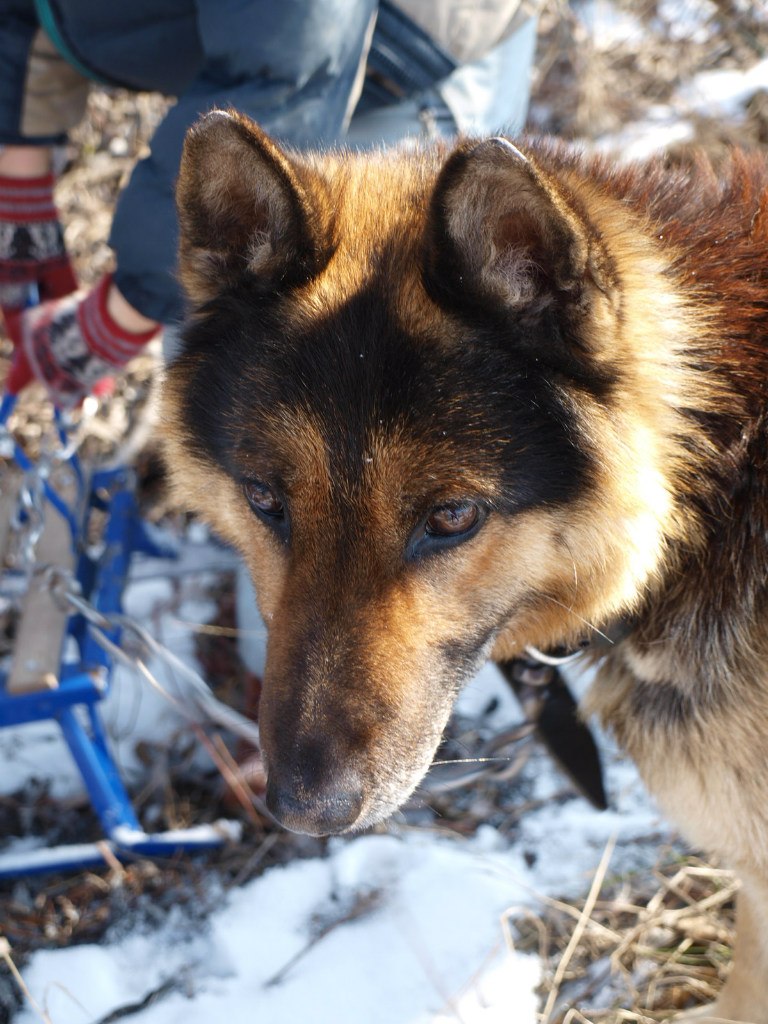 Інна Згривець | Киев