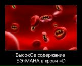 Фотография Алексей Захаров