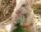 №5, Вячеслав Лахтеев, 39 лет, Витебск №5, Вячеслав Лахтеев, 39 лет, Витебск