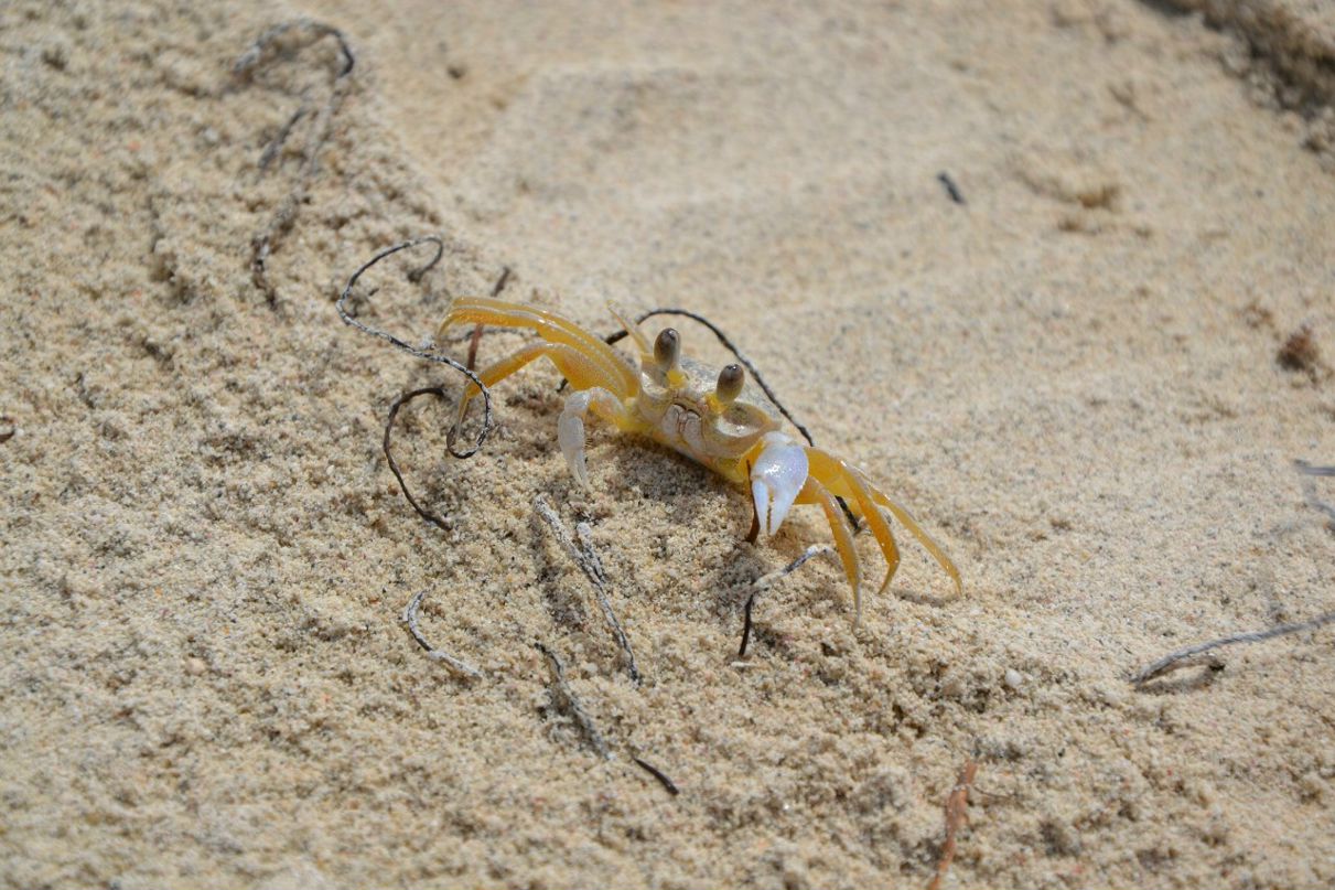 Федор Афанасьев | Костомукша