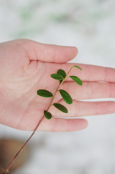 №82, Лиза Старцева, Санкт-Петербург №82, Лиза Старцева, Санкт-Петербург