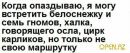 №31 Анна Николаева : профиль, фото, статус - ВКонтакте