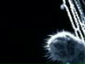 Оксана Елизарова | Воткинск