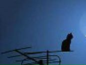 Кристина Фатьянова *Розкажи,мені на картах,де ти є* | Одесса