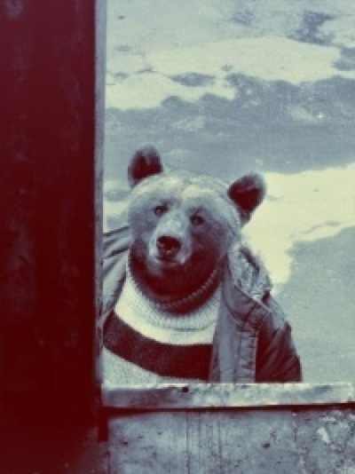 Андрей Смирнов Watch Out! Big Bear Rockstar | Москва