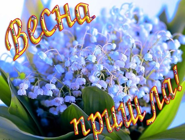 №33, Леся Мацюк №33, Леся Мацюк