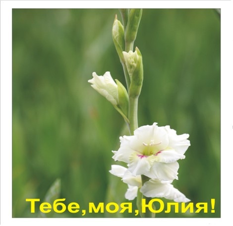 №54, Юлия Глушич, 35 лет, Донецк №54, Юлия Глушич, 35 лет, Донецк