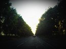 Фотография Шиповской Арины