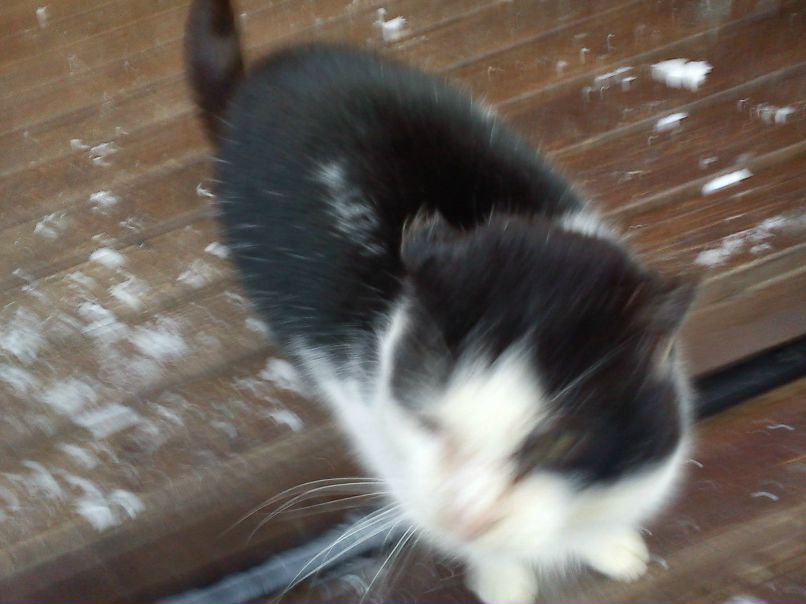 Кирилл Лощевский | Санкт-Петербург