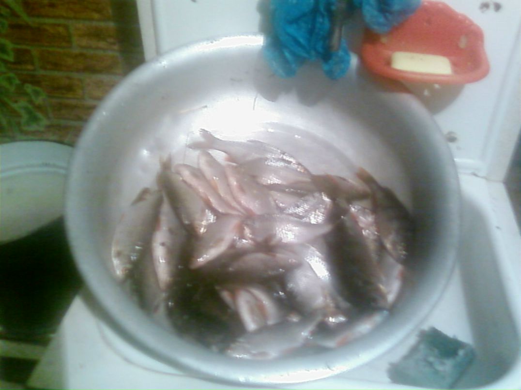 Андрей Шуляк | Киев