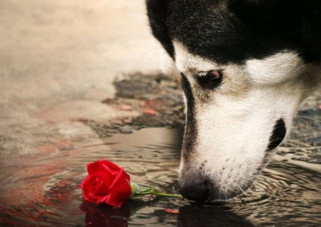 Татьяна Каневец | Челябинск