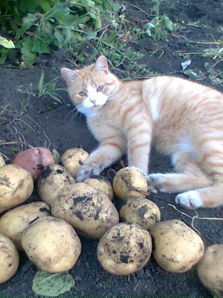 №14, Ирина Мокеева, 09.12.1968 №14, Ирина Мокеева, 09.12.1968