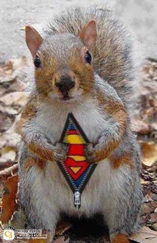 Артем Кособоков | Москва