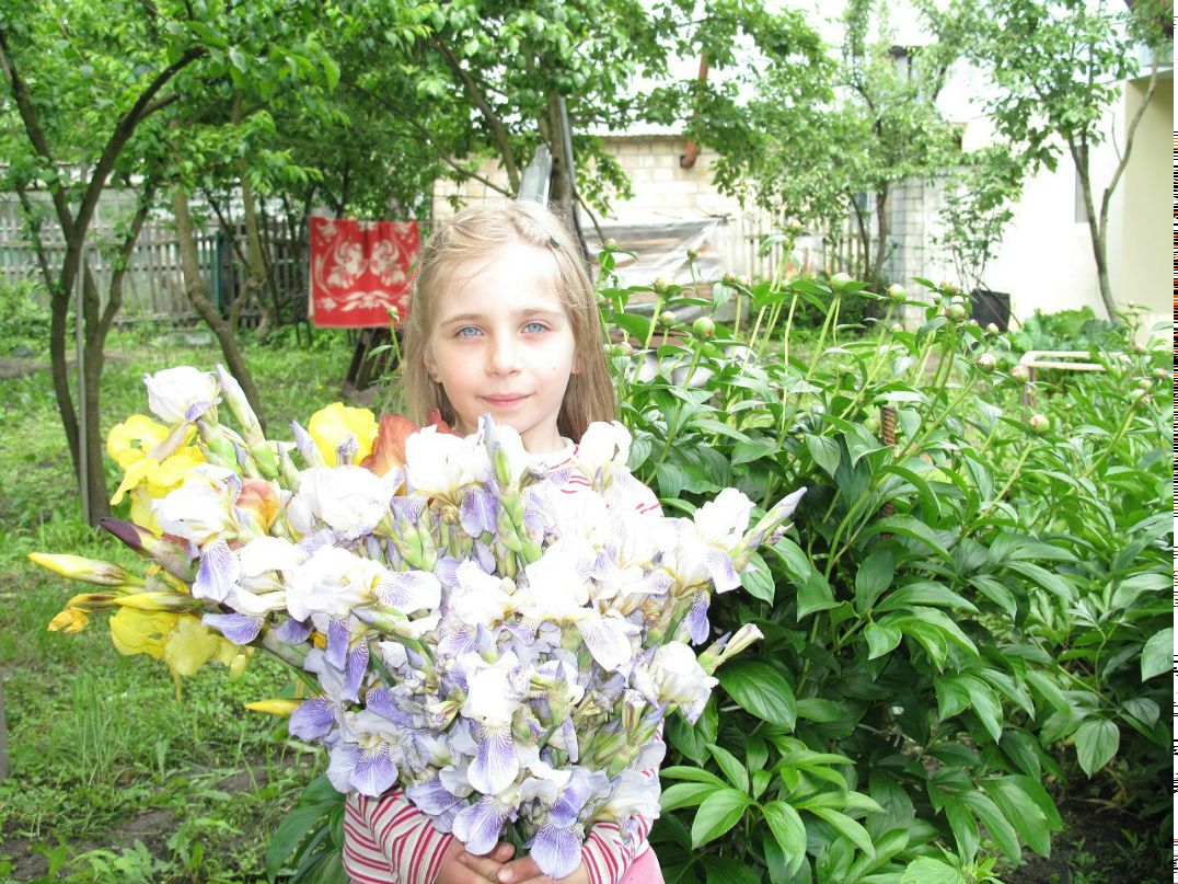 Татьяна Строкач | Киев