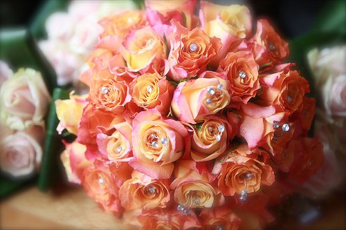 Ксения Ксензова | Симферополь