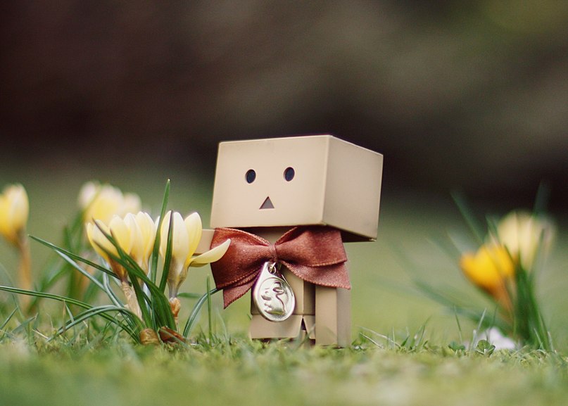 Владимир Пожарисский | Севастополь