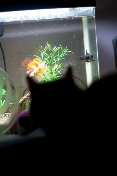 №90, Андрей Руппель №90, Андрей Руппель