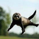 Артем Хайретдинов | Уфа