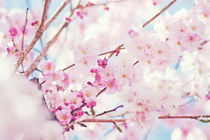 Дарья Светлова लक्ष्मी | Санкт-Петербург