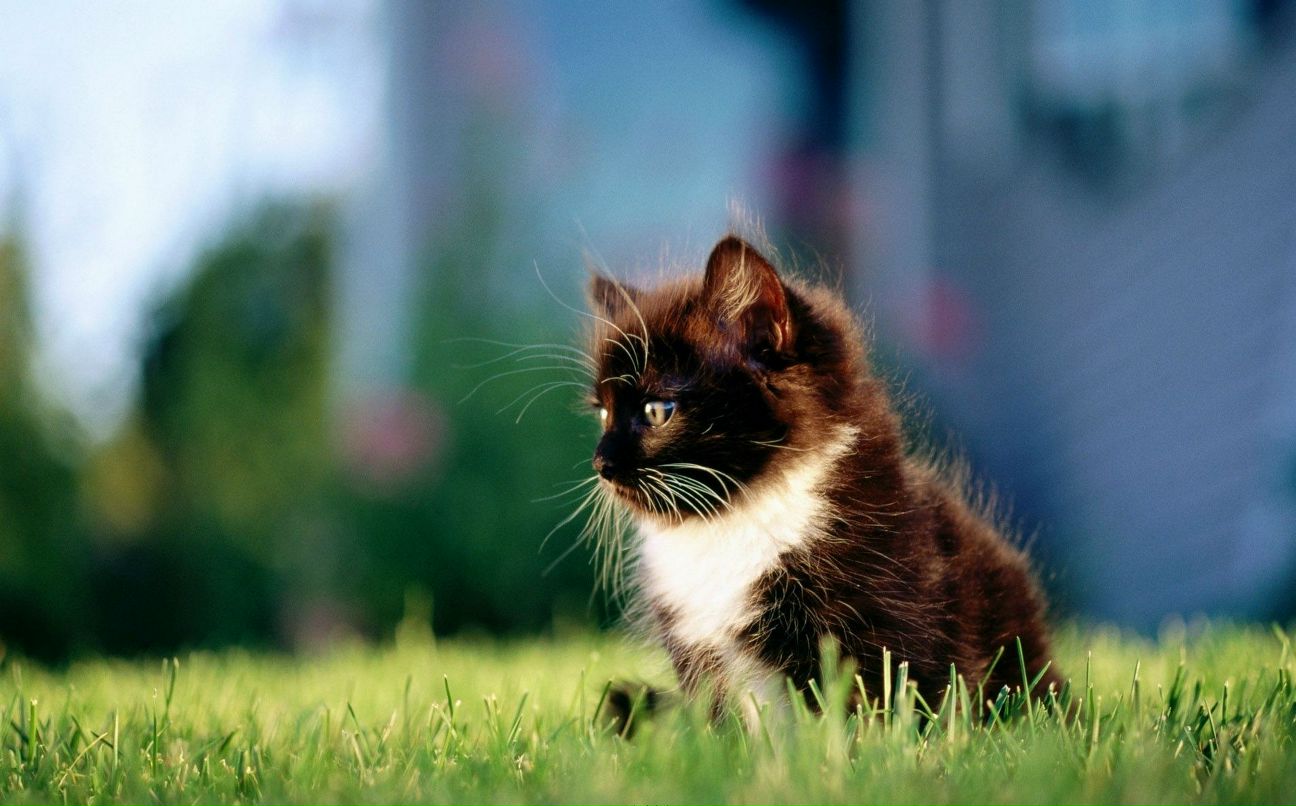 Наталья Васильченко | Ростов-на-Дону