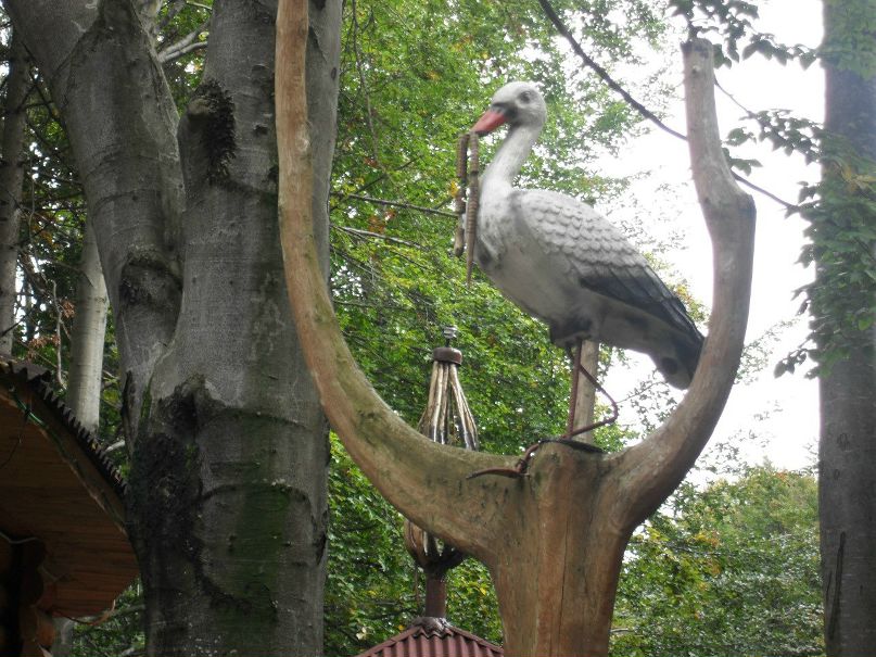 Элеонора Лашова | Самара